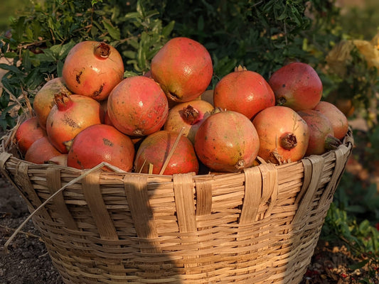 Pomegranate - 3 to 4 pieces (approx 600-700 gms)